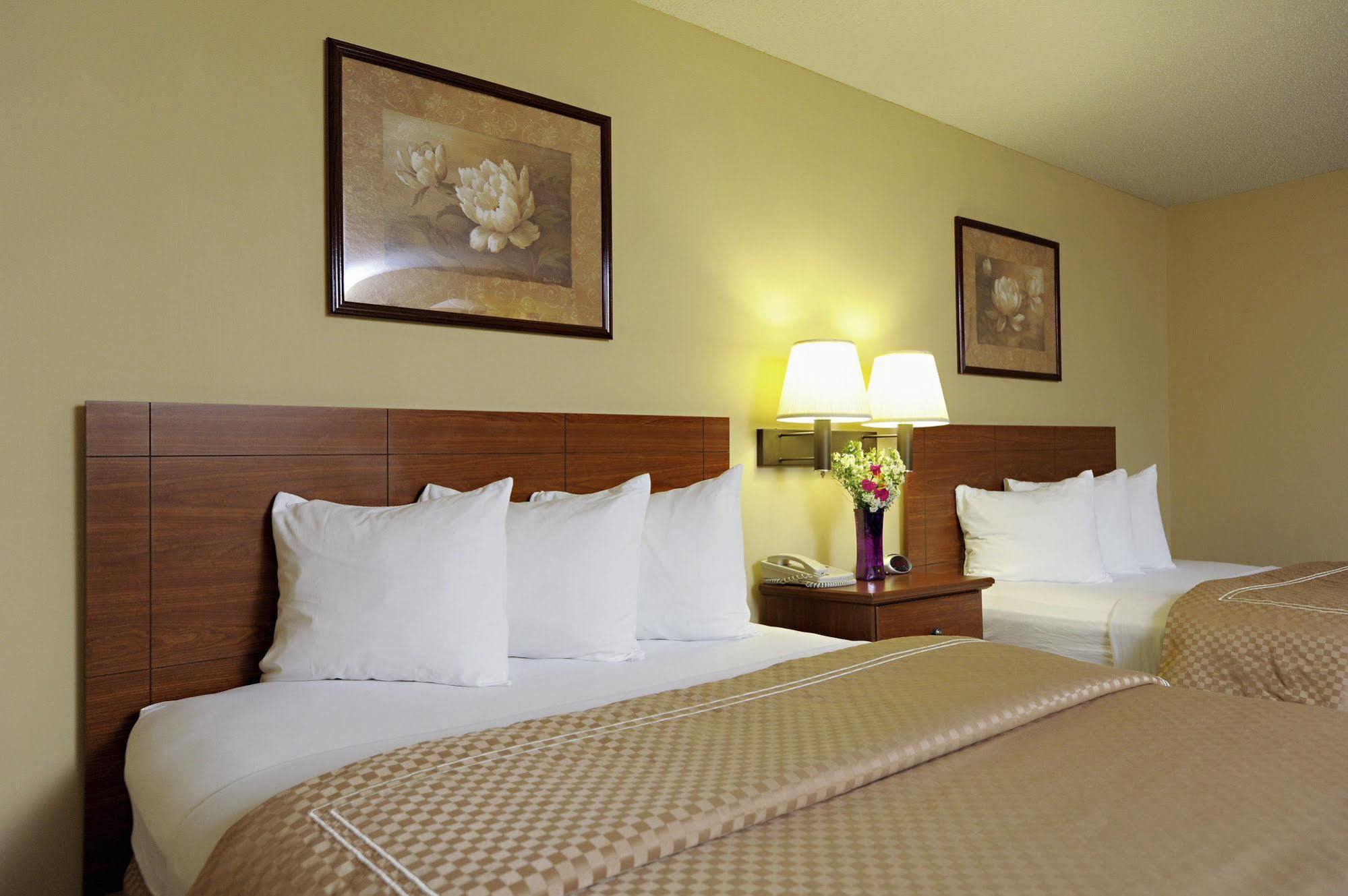 Mt. Madison Inn&Suites Gorham Extérieur photo