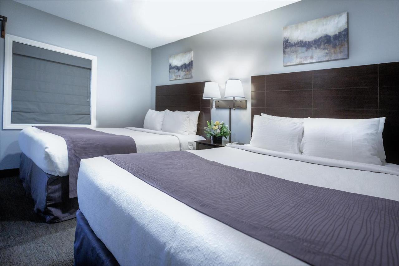 Mt. Madison Inn&Suites Gorham Extérieur photo